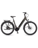 Vélo électrique urbain Unisexe  SINUS R5F WAVE Marron - Image 1/6